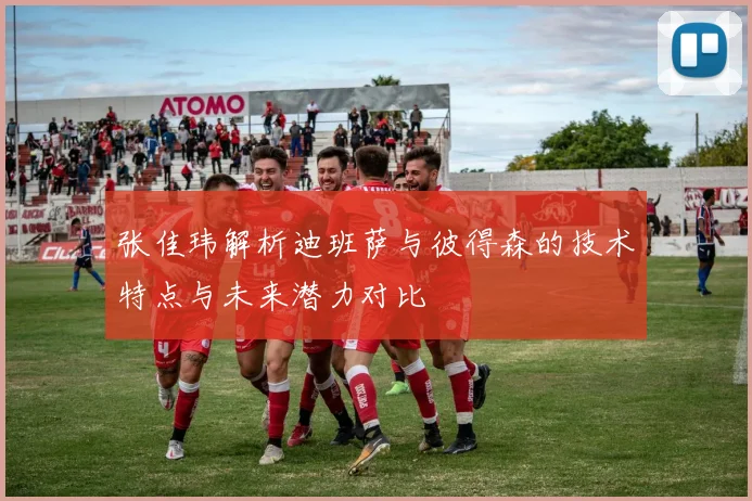 张佳玮解析迪班萨与彼得森的技术特点与未来潜力对比