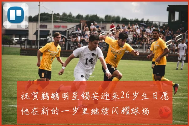 祝贺鹈鹕明星锡安迎来26岁生日愿他在新的一岁里继续闪耀球场