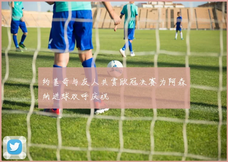 约基奇与友人共赏欧冠决赛为阿森纳进球欢呼庆祝
